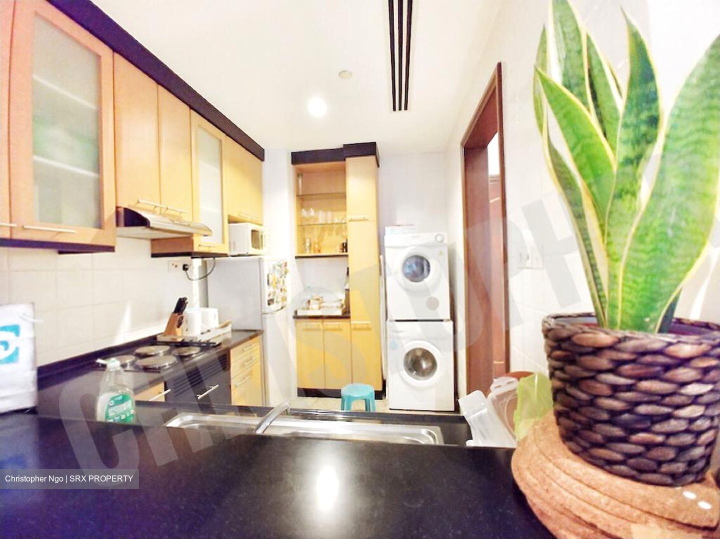 Riverside 48 (D9), Apartment #389094921